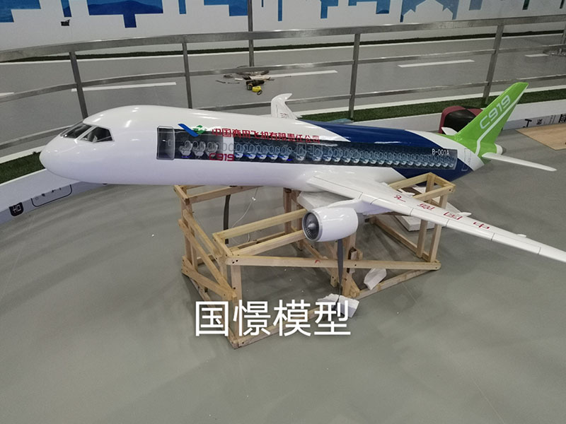 和田市飞机模型